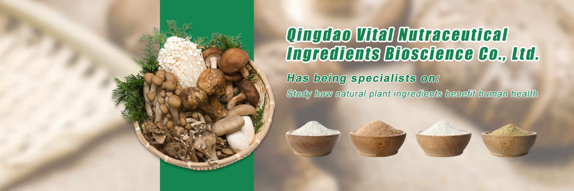 गुणवत्ता पौधों की जड़ी-बूटियों का अर्क फैक्टरी