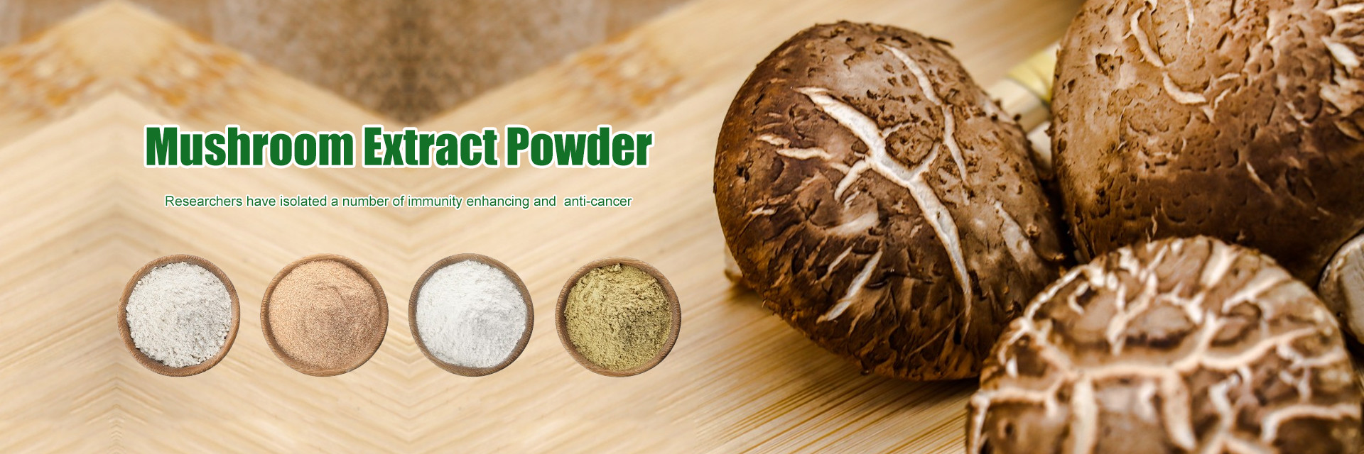 गुणवत्ता पौधों की जड़ी-बूटियों का अर्क फैक्टरी